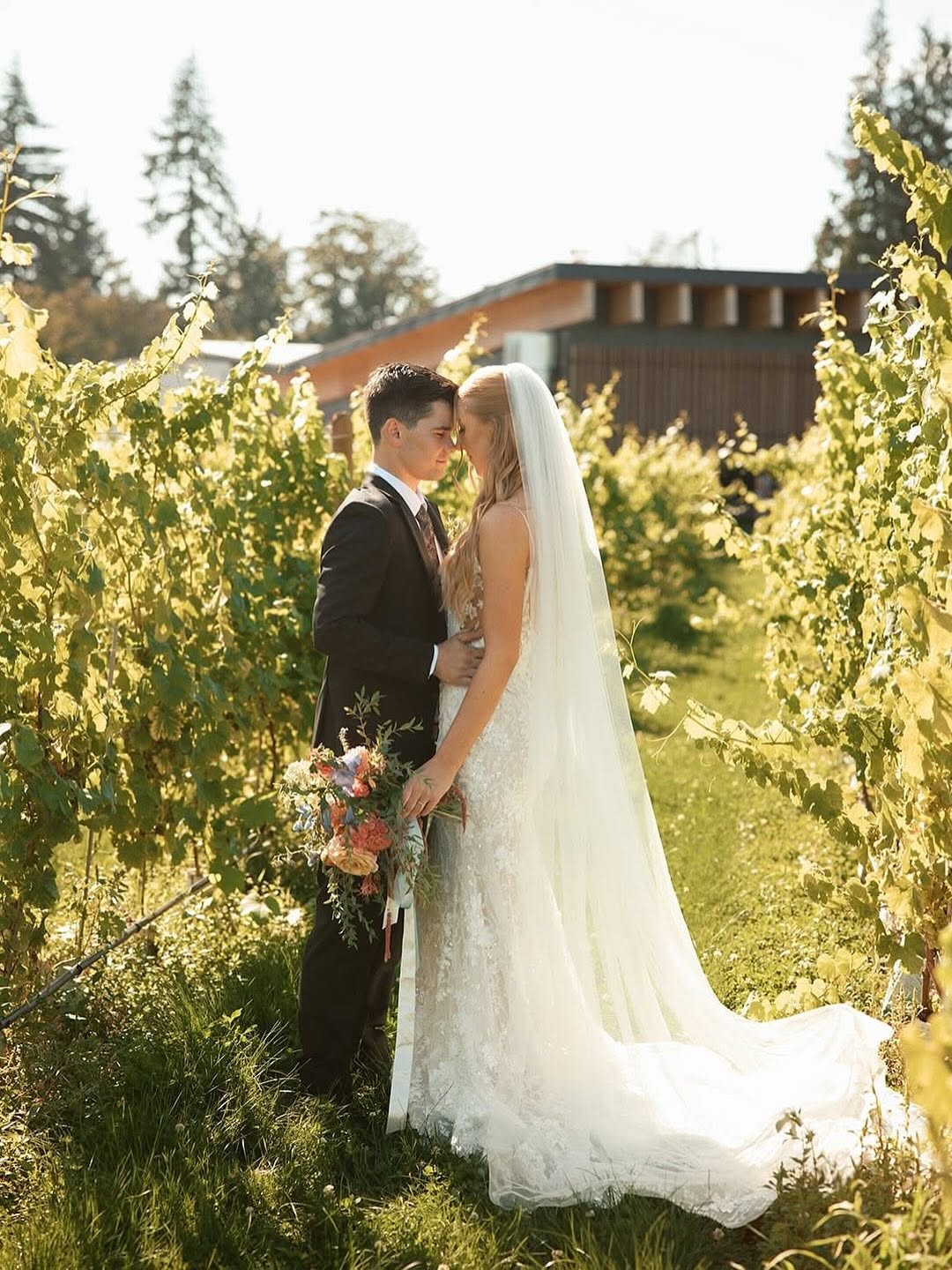 Bride in long veil with groom in the vineyard at golden hour