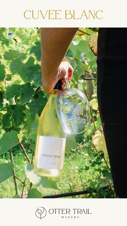 Cuvée Blanc bottle in the vineyard