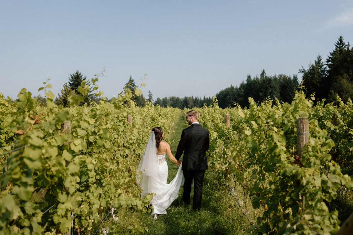 Bride and groom walking hand in hand through the vineyard rows