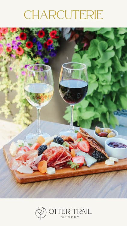 Charcuterie board with wine pairings