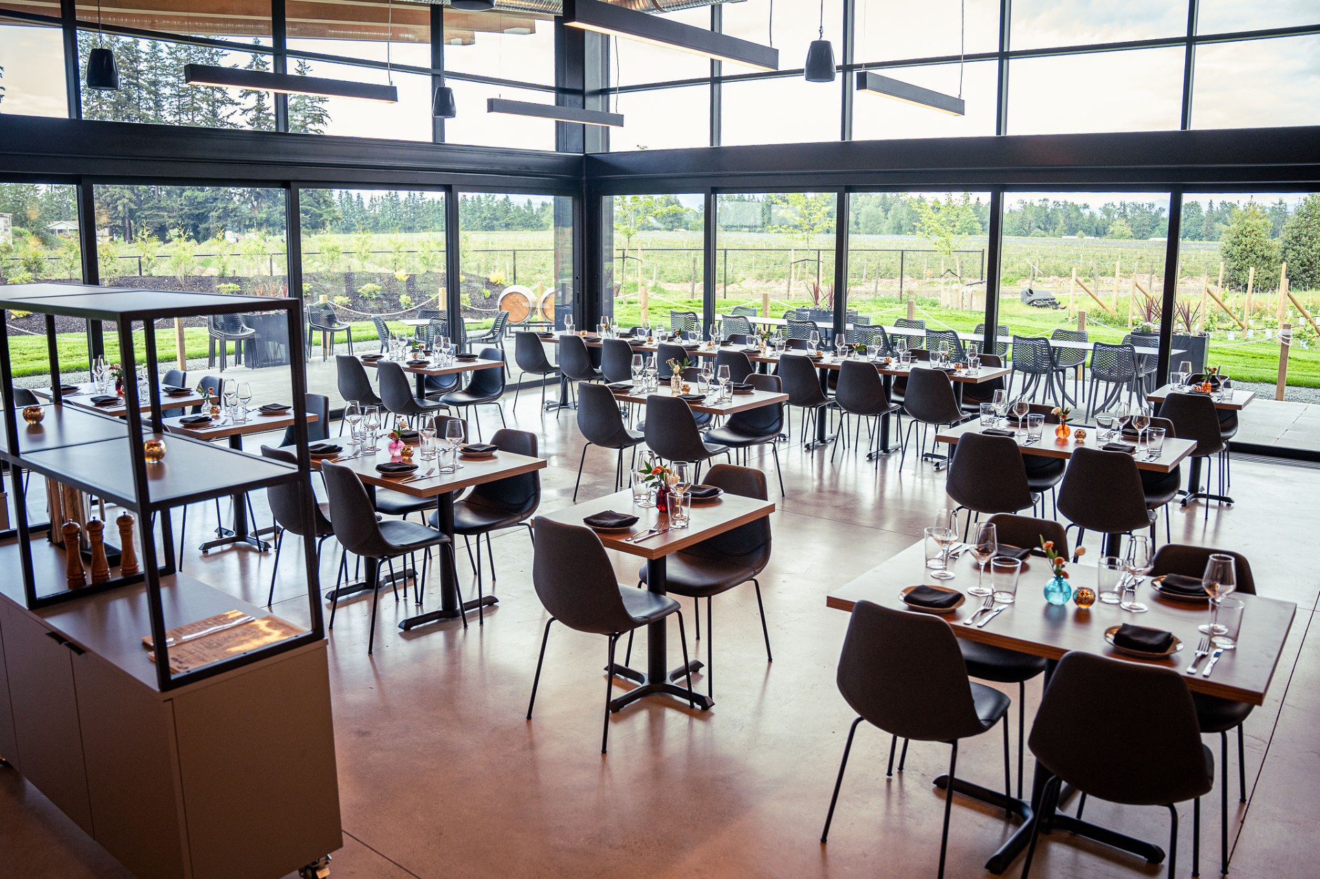 Dining hall with floor-to-ceiling windows overlooking the vineyard